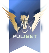 Pulibet-Logo